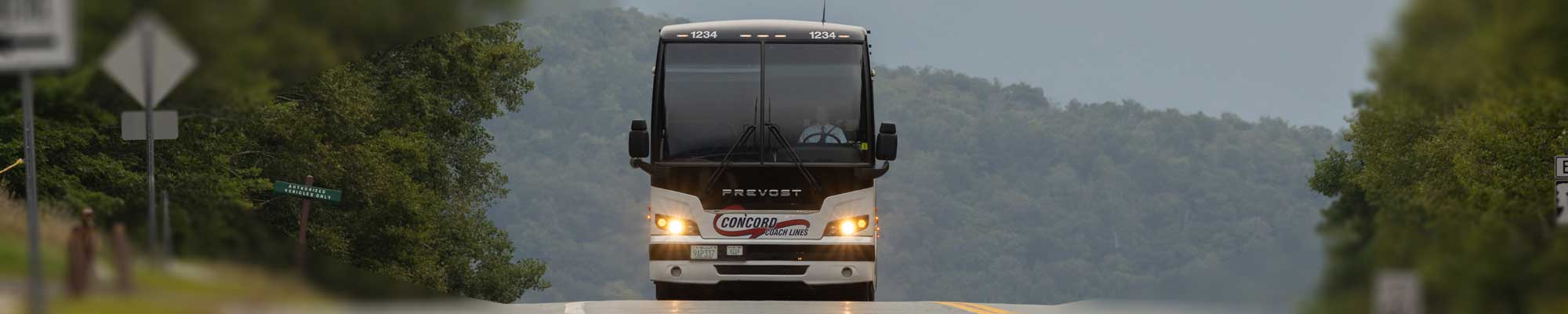 Bus driving on a road at dawn