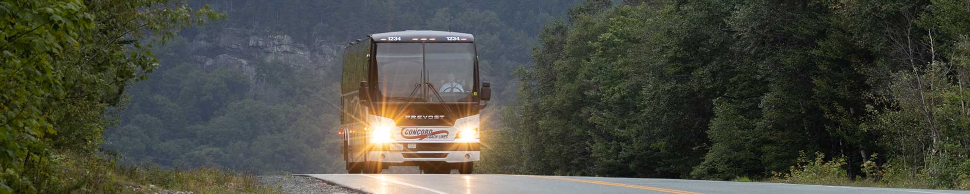 bus on the road at dawn